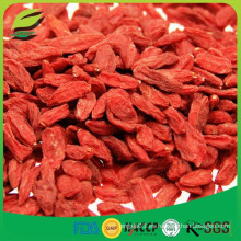 Importación de semillas de bayas goji de China